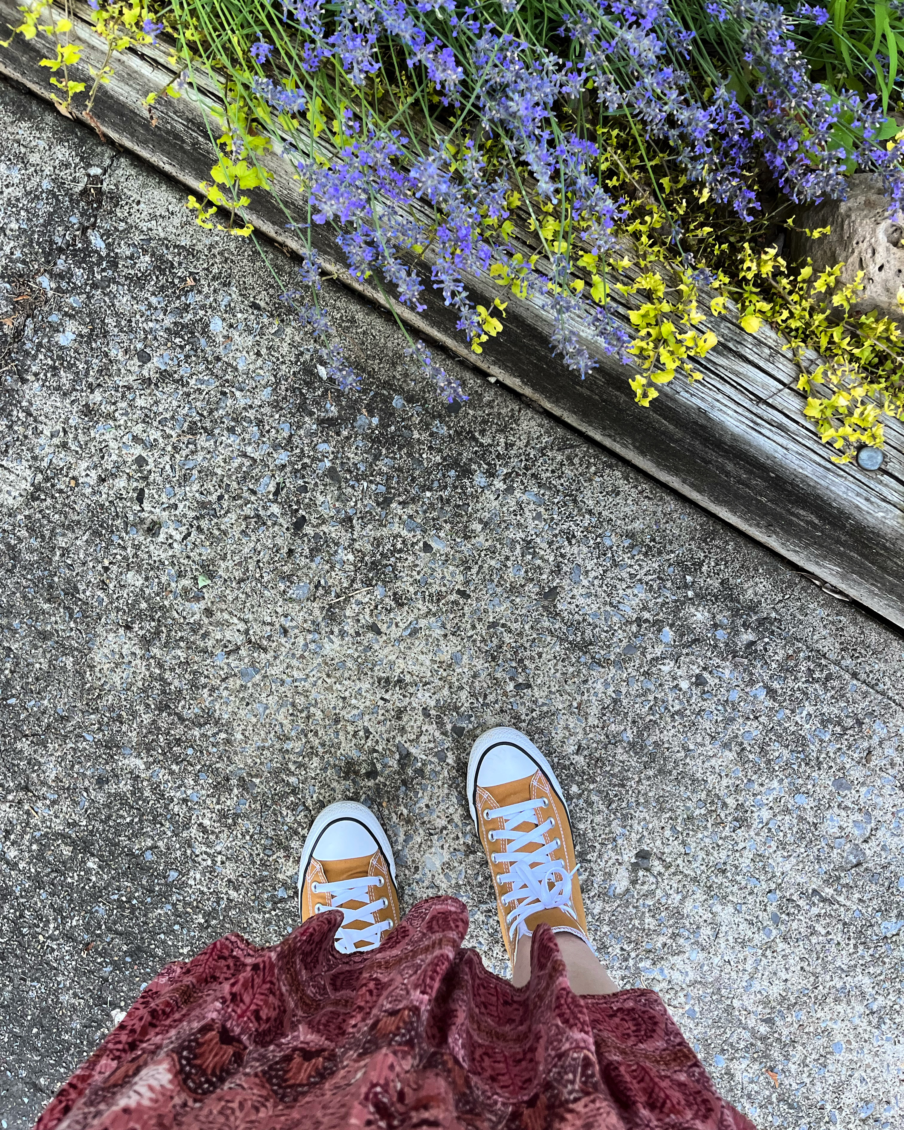 Mustard colored chucks. 